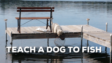 source.gif
