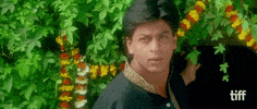 Shah Rukh Khan Bollywood GIF by TIFF