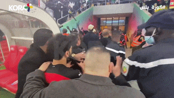 World Cup Egypt GIF by Storyful