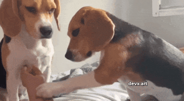 Dog Cuddle GIF by DevX Art
