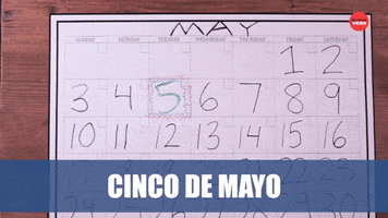 Cinco De Mayo Mexico GIF by BuzzFeed