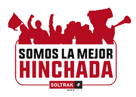 Prueba2 Sticker by Soltrak