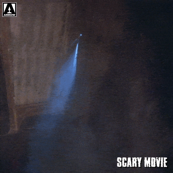 Scared Scary Movie GIF by Arrow Video