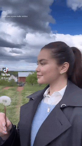 Paris Berelc GIF