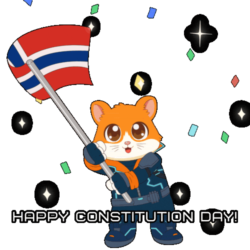 Constitution Day Celebration Sticker by Hamieverse