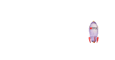 BRXpromotora Sticker