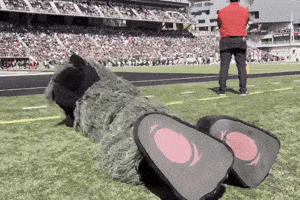 Nippert Stadium Football GIF by Bearcat