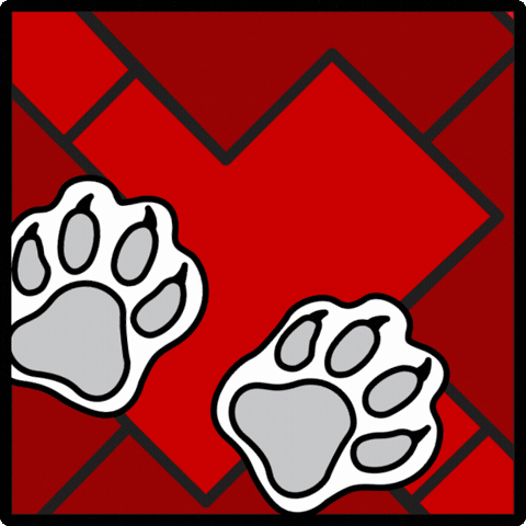 Nc State Wolfpack GIF by NC State University