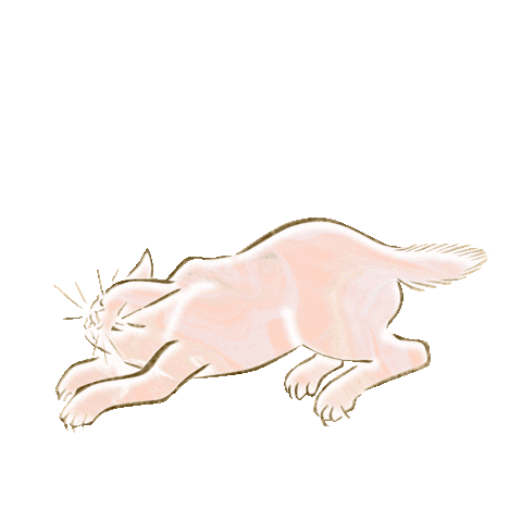 Surprise Sustainability Sticker by RIDE MEDIA&DESIGN Inc.