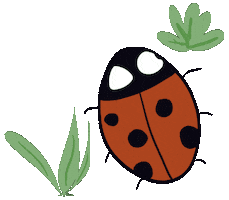 Coccinelle Sticker