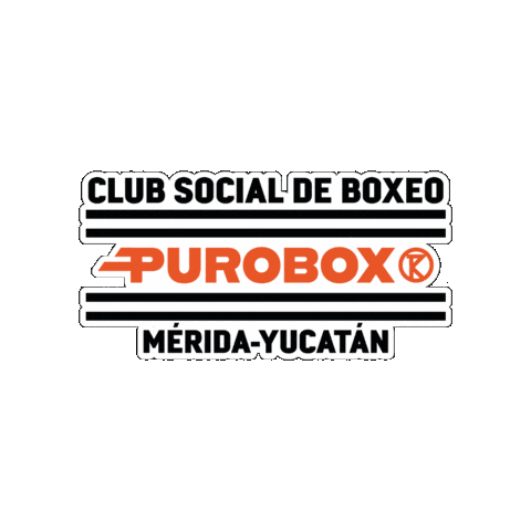 Boxing Boxeo Sticker by Puroboxr