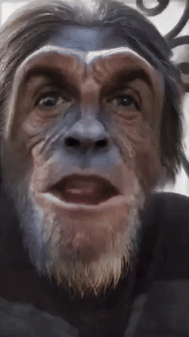 Monkey Macron GIF by systaime