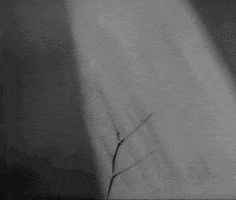 hans richter art GIF by hoppip