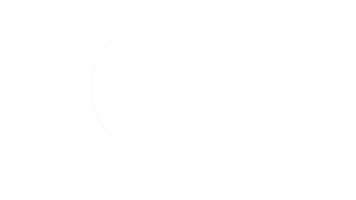 Sticker by More Digital