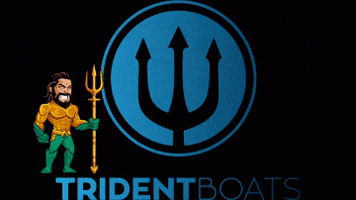 tridentboats tridentboats tridentribs tridentlefkada tridentaquaman GIF