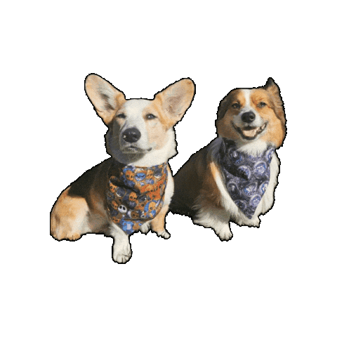 Corgi Ghibli Sticker by Geekster Pets