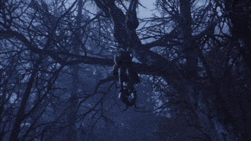Locust Wretch GIF by Gears Of War