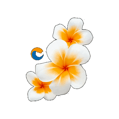 Summer Flower Sticker by Oom Bigbo