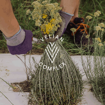 Harvest Kemonitalia GIF by Kemon