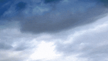 shark week GIF by Discovery Europe