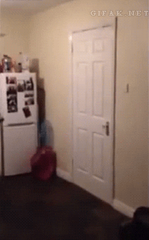 Door GIF by Cheezburger - Find & Share on GIPHY