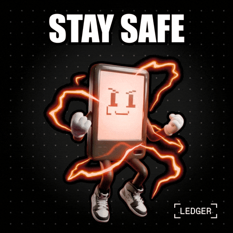 Crypto Stay Safe GIF by Ledger