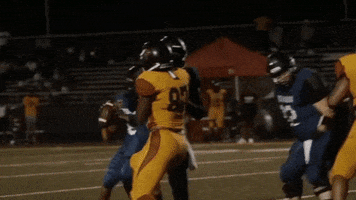 Womens Football Celebration GIF by Women's National Football Conference