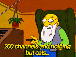 Cats Simpsons GIF