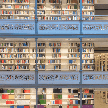 Therese Marie Thompson GIF