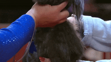 Hungry On My Way GIF by American Kennel Club