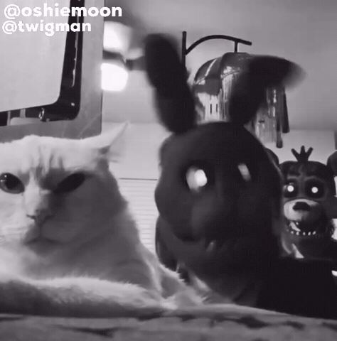 Five Nights At Freddys Cat GIF