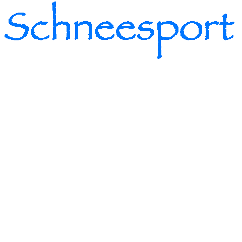 Winter Ski Sticker by Schneesport Bivio