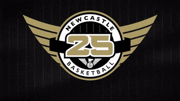 British Basketball GIF by Newcastle Eagles