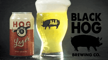 drink up cold one GIF by Black Hog Brewing