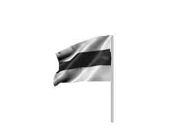 Portugal Sticker by Vitória SC