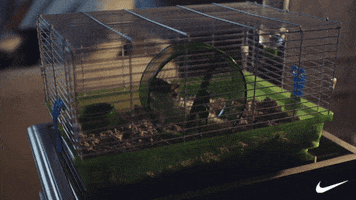 Ad gif. Hamster in a cage runs fast on a wheel. Nike check logo appears in the corner.