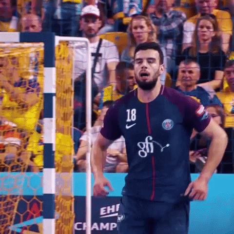 Paris Saint Germain Handball GIF by EHF