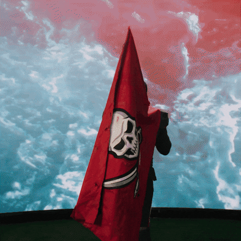 Bucs GIF by Tampa Bay Buccaneers