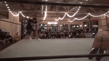 Colin Brooks Punt GIF