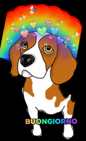 Dog Rainbow GIF