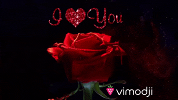 I Love You Je Taime GIF by Vimodji
