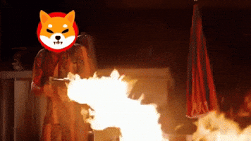 Shib Coin Gif By Shib GIF