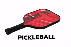 Tanso Racquets GIF