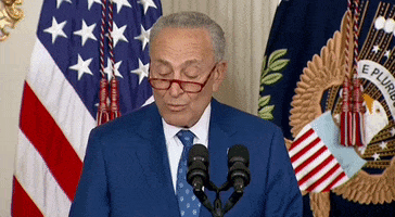 Persist Chuck Schumer GIF by GIPHY News