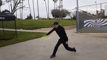 Discmania GIF