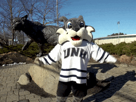 flexing new hampshire GIF by University of New Hampshire