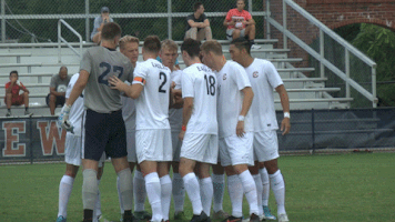 ben king cnms18 GIF by Carson-Newman Athletics