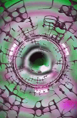 giphy.gif?cid=4d1e4f2922012dd7ec9d6b013d