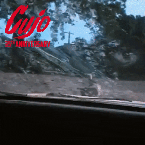 stephen king dog GIF by Paramount Movies