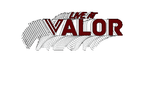 Valor Hawaii Sticker